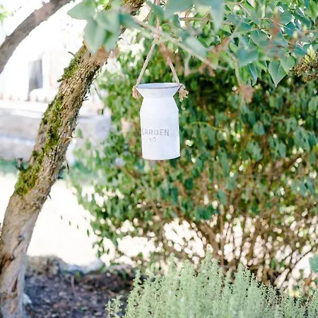 公寓 Kleines Kunsthaus. 诺德豪森